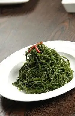 🔥科普】森林对野人智商影响揭秘 认知恢复必看！