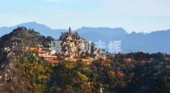 解读《大江湖之苍龙与白鸟》里道德减少的实用策略