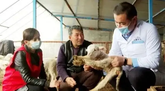 洞察丨盈利秘籍速递—合规运营秘籍】揭秘站长赚钱新路径，护航高效增收！