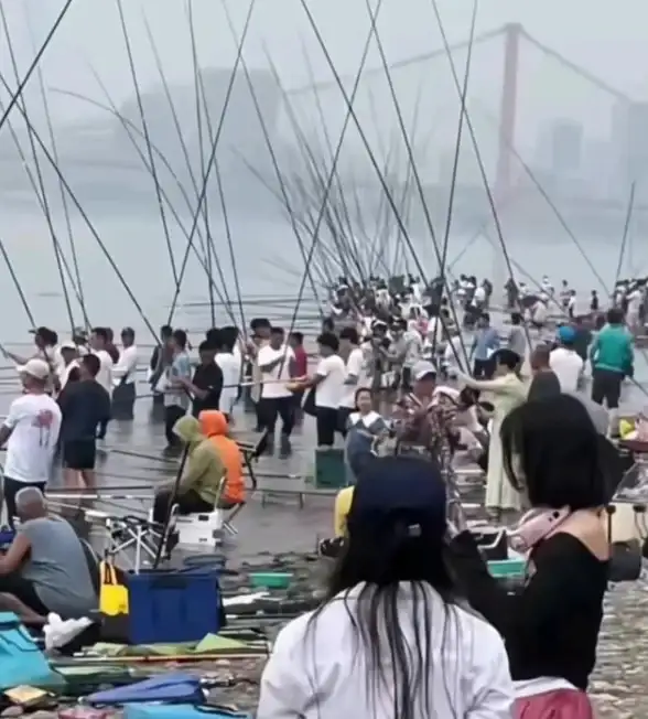 【环保热潮】钓鱼佬净化海洋背后的科学真相与深远意义