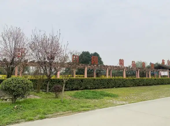 工坊攻略🔥梦幻西游手游最划算工坊职业推荐2024