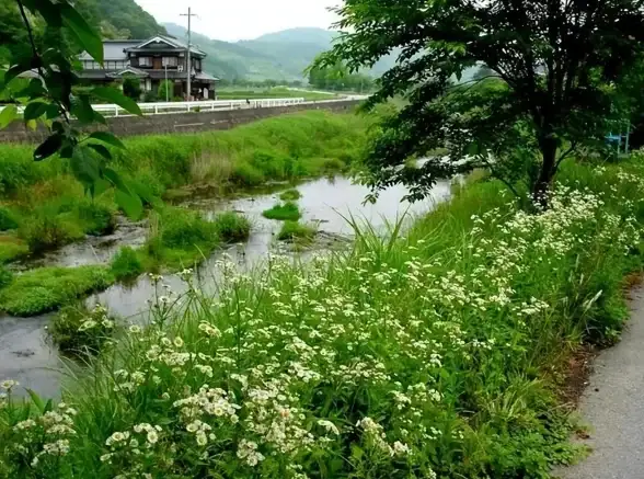 教学🧑乡村风景📱乡村老师手游安卓下载安装全攻略