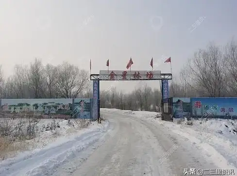 高防御,低延迟-哈尔滨机房直连云服务器，适合全网应用部署