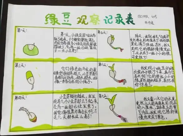 青春记忆🌟QQ心情记录：用网络日记珍藏成长故事与美好瞬间