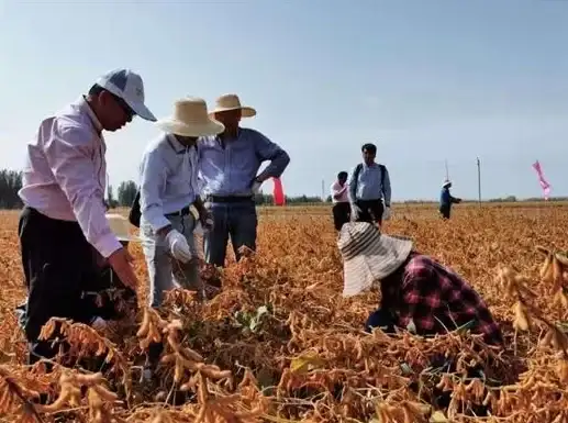 策略秘籍⚡高分攻略⚡通关必看｜植物大战僵尸杂交版挑战71关高效技巧详解