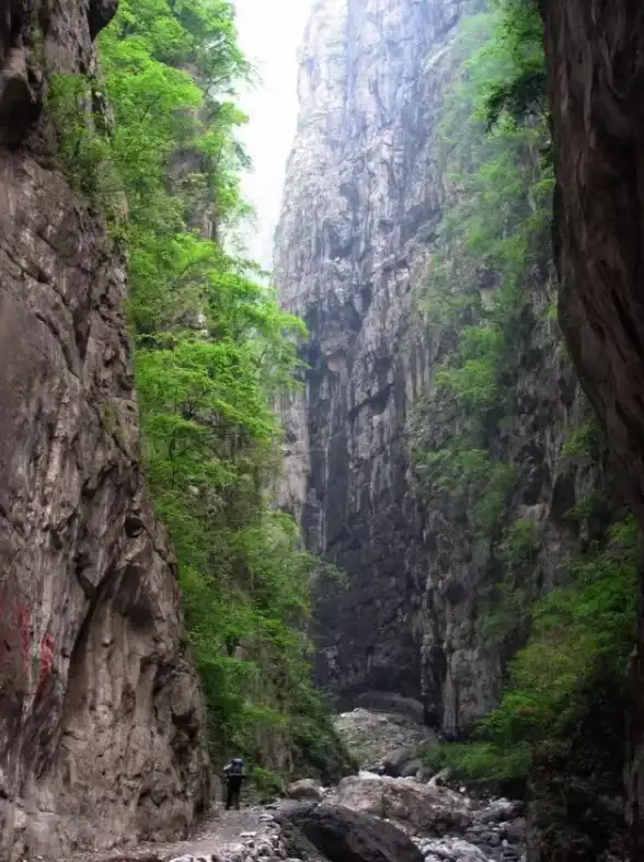 显卡排行🚀方舟显卡性能全解析：热门系列天梯图与排名深度解读