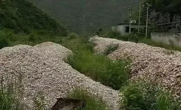 挖矿技巧 装备推荐 星露谷物语铜矿石矿脉全解析，轻松挖出高效收益！