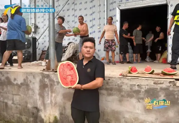 CDN加速,企业分发-宁夏石嘴山CDN节点助力企业级分发加速