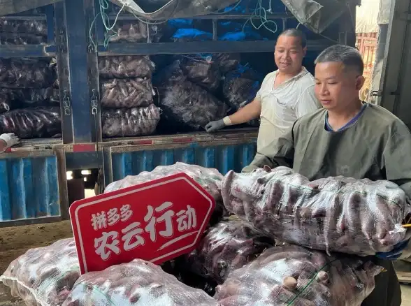 高速网络,数据安全-美国主机三网直连，企业数据云端加速