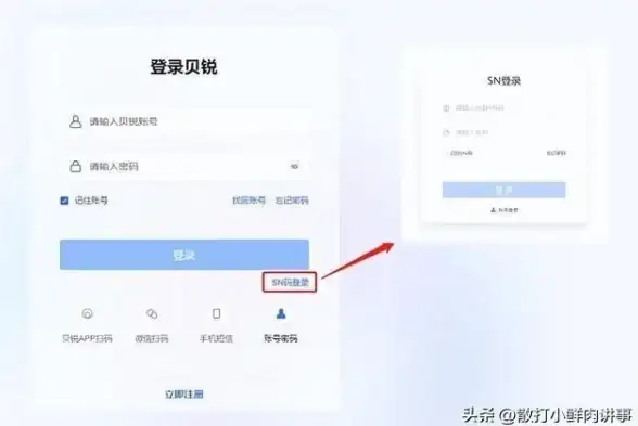 VPN对比必看｜安全护航新视角｜详解】公网&内网VPN服务器模式区别大揭秘