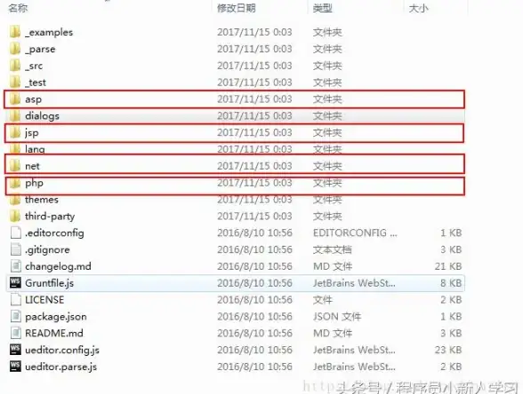 ASP开发 编程语言 ASP中主要使用哪种编程语言进行开发？