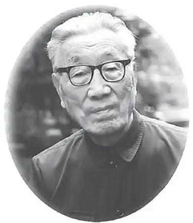 医学术语🩺专业解析dr是什么意思及其在各领域的应用技巧