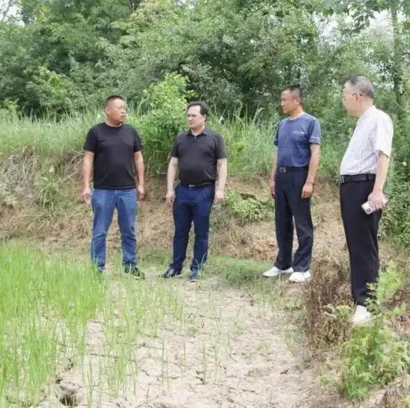 数据中心-跨境合作,菲律宾数据中心建设对中国市场意义