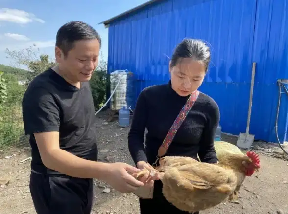 数据中心 能源消耗 服务器为何如此“电力饕餮”深度解析背后的高能耗真相