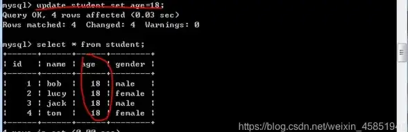 MySQL 数据库操作：如何删除指定行数据的方法与步骤