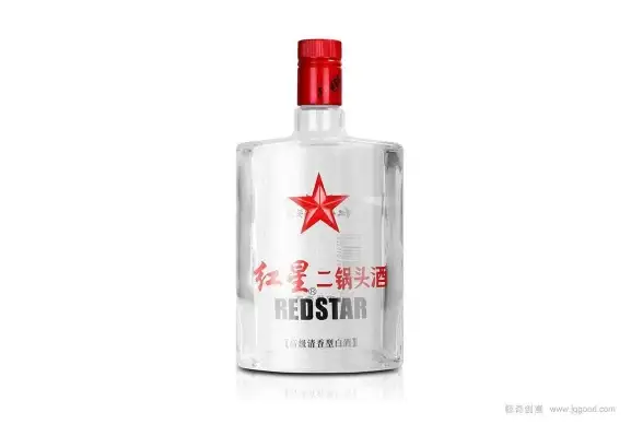 网页开发 深入了解HTML：定义、功能与实际案例