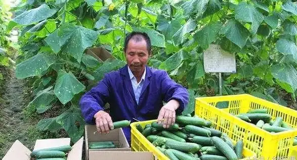 云主机租用,东莞机房-东莞机房云主机租用注意事项全解