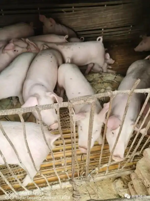 网络问题 网络不稳定的常见原因全面解析