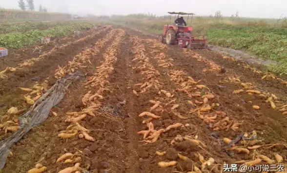 生产管理 产量分析 如何计算产品批量？详细解析产品批量的计算方法与实际应用