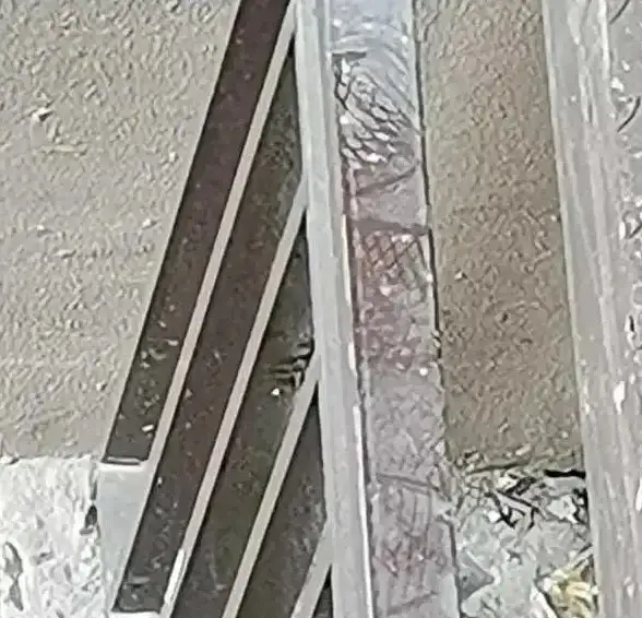 游戏攻略🔥网吧模拟器全新厨房解锁技巧详解分享