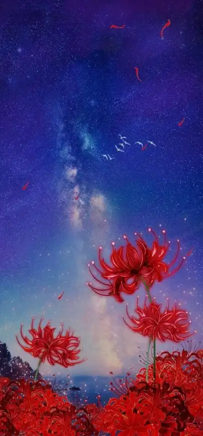 壁纸创作🌌星空视频壁纸高质量制作流程详解与实用经验分享
