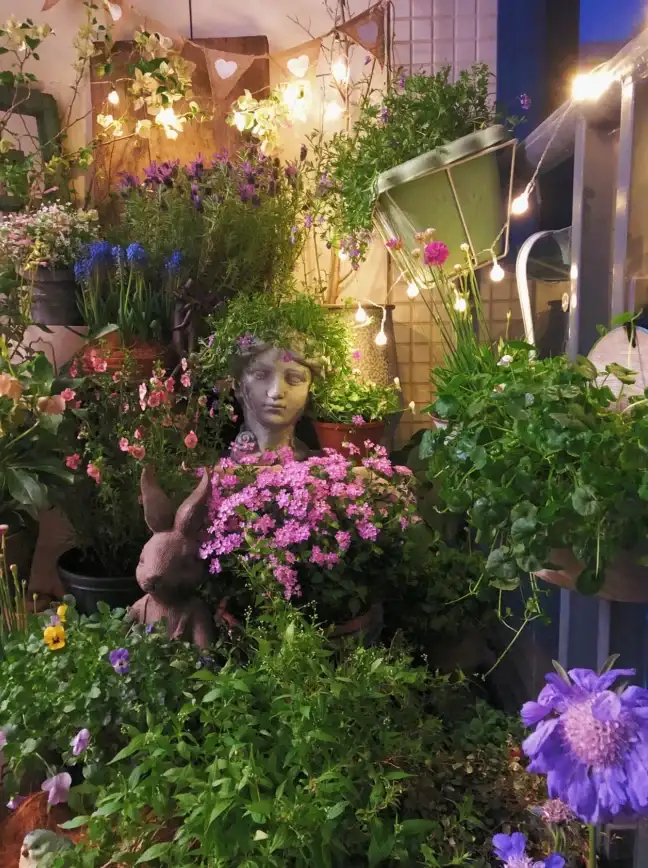 🌟攻略·必看·干货 植物大战僵尸2》太阳能花盆性能全面解析与实用技巧讲解