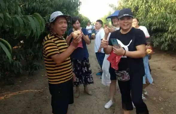 攻略🔥丰收之路详解 全面玩法 新手必收藏指南