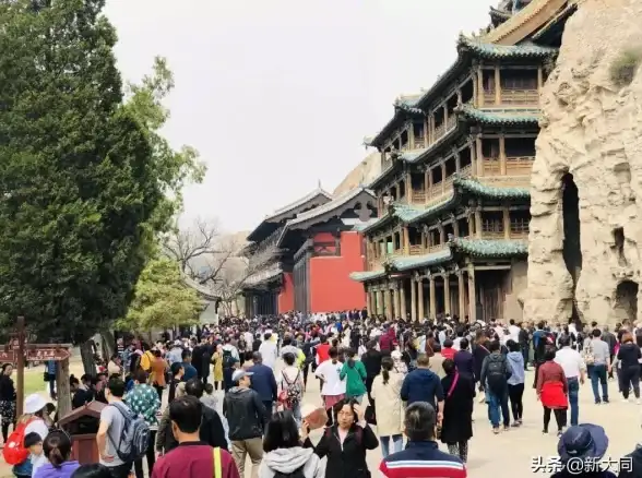 抓取洞察｜提升流量新机遇—网站数据优化指南【流量提升】