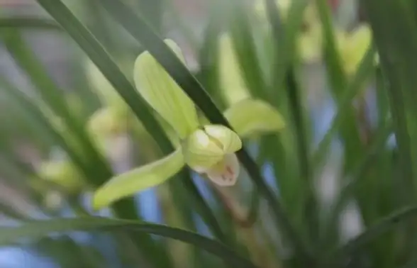 品质保障🔥专业解析🔥实用指南 优质弯曲角的核心特点揭秘