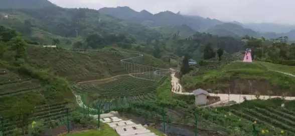 科技前沿｜智能先锋📱蓝莓手机：引领潮流的智能科技新典范