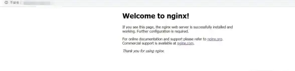 解读┃安全速查！Nginx端口管理】实用技巧盘点，轻松取消服务器端口设置