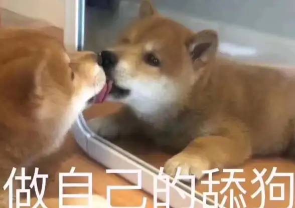 角色搭配｜攻略秘籍｜战力飞升 纯白和弦最佳角色搭配全解析！战力提升技巧大公开
