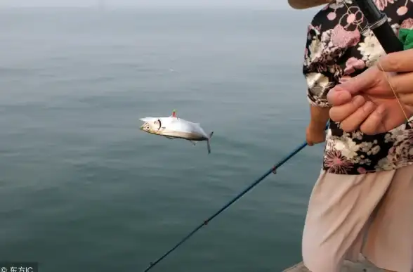 思考 安全防护升级 网络安全警钟鸣响！聚焦合规研究钓鱼站源码—重要价值深度解析【安全前沿】