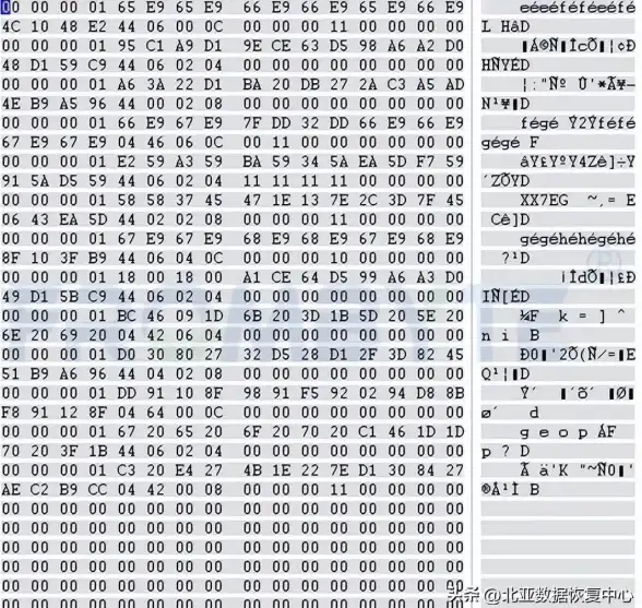 服务器性能 存储管理 如何优化服务器硬盘存储并提升访问速度的方法与技巧