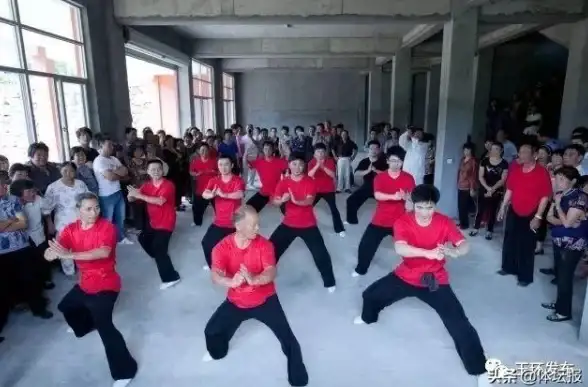攻略秘籍🔥真三国无双起源武艺特效全解析与高效获取技巧