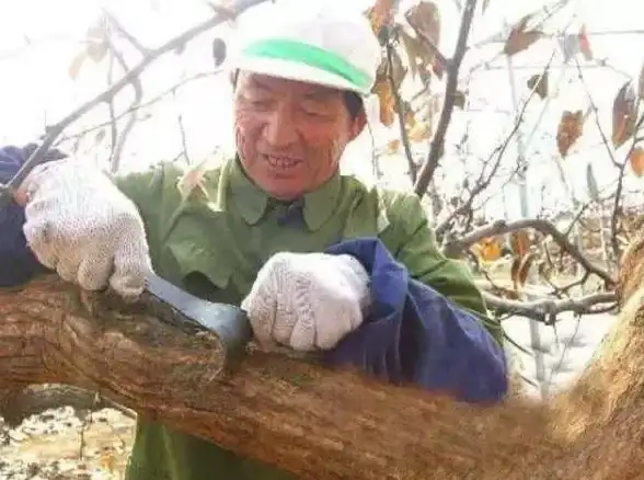 高防主机,物流政策-绍兴冬邦云高防主机的运费及物流说明