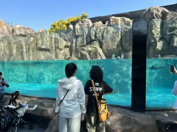 重装系统🚀新手指南：安全高效完成分区操作全流程