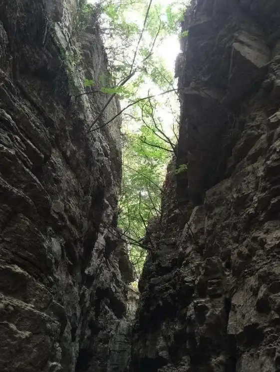 探索之旅｜数学天梯图：踏上解密数学之美的新征途