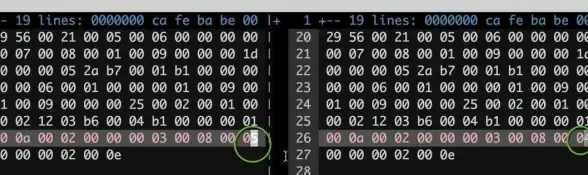 iOS逆向 私有API分析：如何利用class dump工具探索私有API接口？