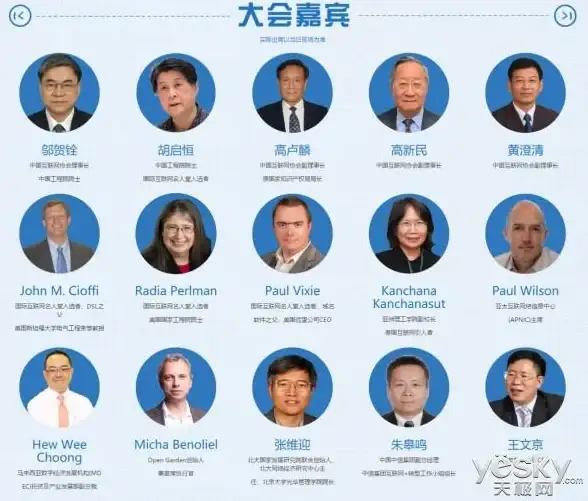 域名管理 查询工具 如何高效进行CI域名的批量查询与筛选？