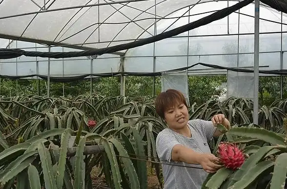 想要随时查看新款理想汽车信息并购买精品附件？这款APP难道不是你的最佳选择？