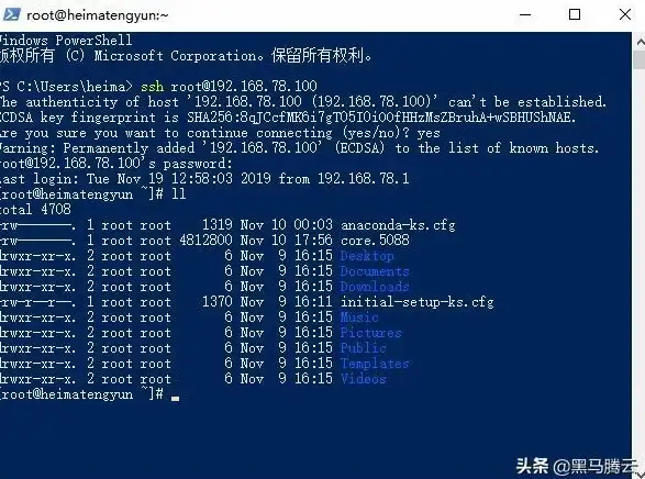CMD技巧 文件传输：如何通过命令行将本地文件上传到服务器