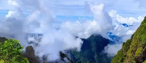 热门攻略⚡资源速刷⚡升级秘籍 摩尔庄园白熊栖息地全攻略详解