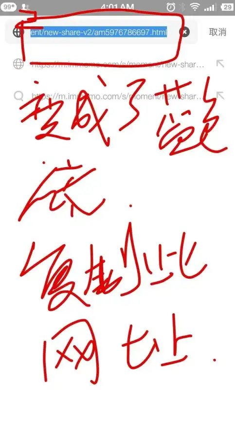 还在为海外上网发愁？试试无国界·全球通Momo浏览器，一键畅游全球！