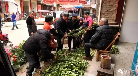 壁纸精选🌈桌面美化｜多款精美电脑壁纸图片，让桌面瞬间焕发新气象