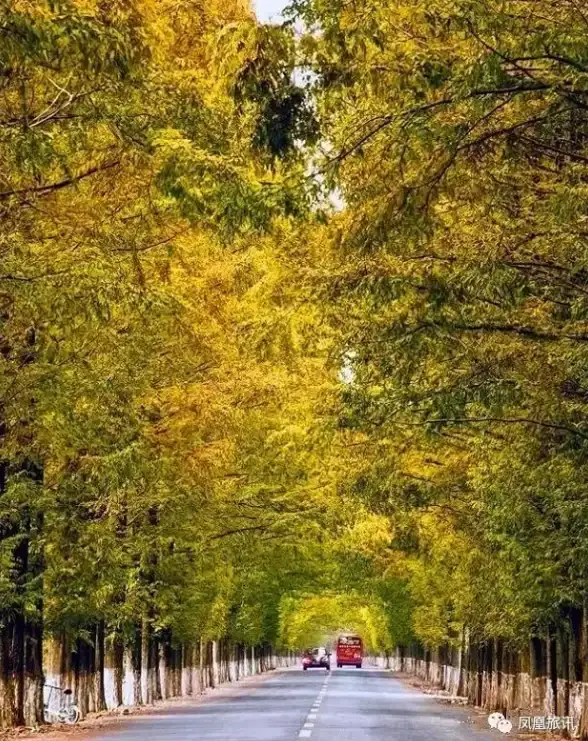 还在为自驾游路线发愁？趣兜风APP让你轻松规划行程，一键搞定景点讲解！