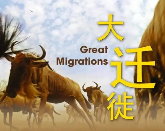 影音盛宴🎬流畅 视频播放：体验无卡顿的高清影像之旅