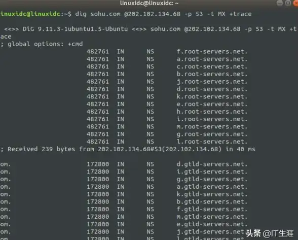 网络工具 域名解析：如何使用CMD命令根据域名查询IP地址？