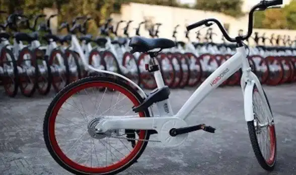 共享出行🚲哈罗单车收费规则详细解析，带你清楚了解每一分钱的用途