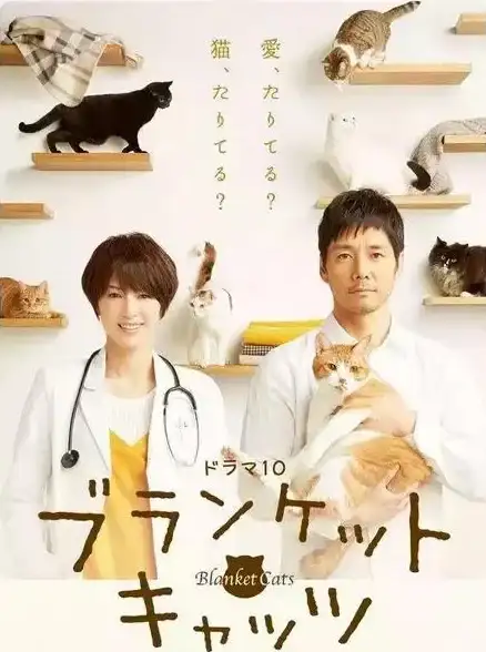 如何用手机轻松监控家中动态？大谷云监控APP与专属摄像头为你保驾护航！